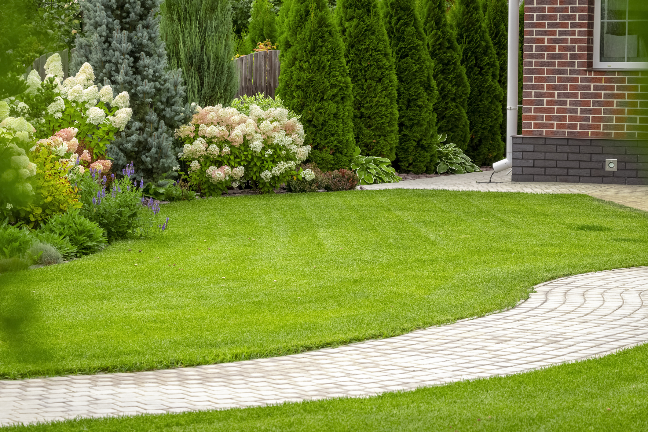 How Our Services Can Make Your House a Home