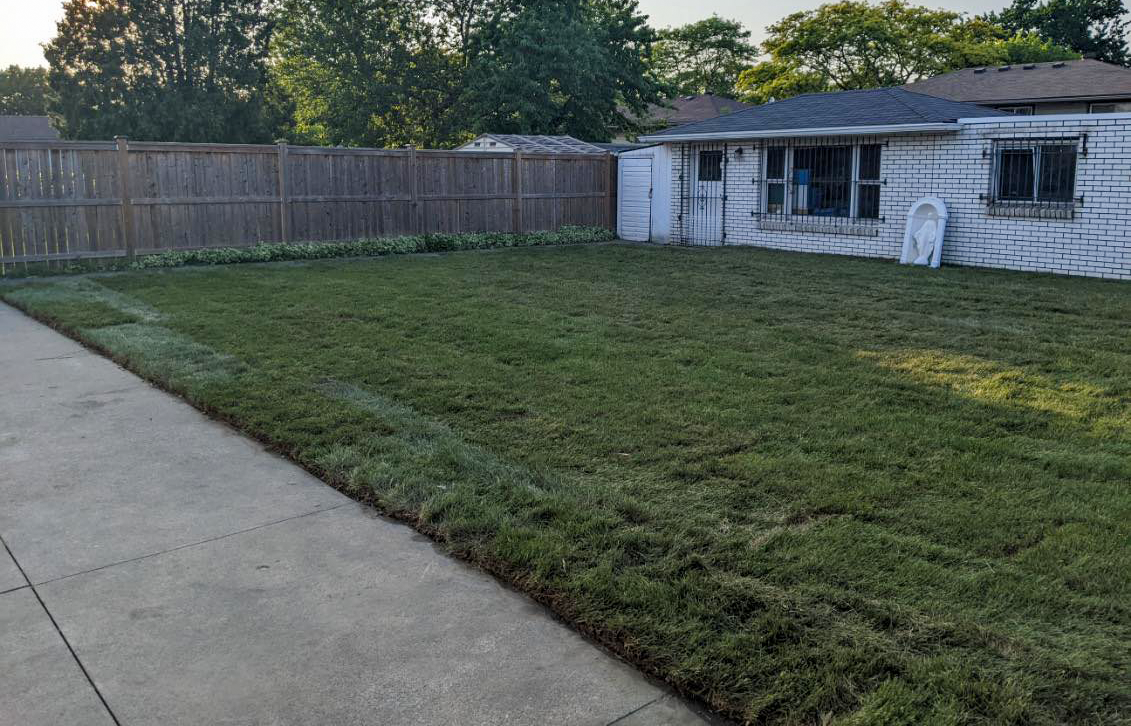 Sod Installation