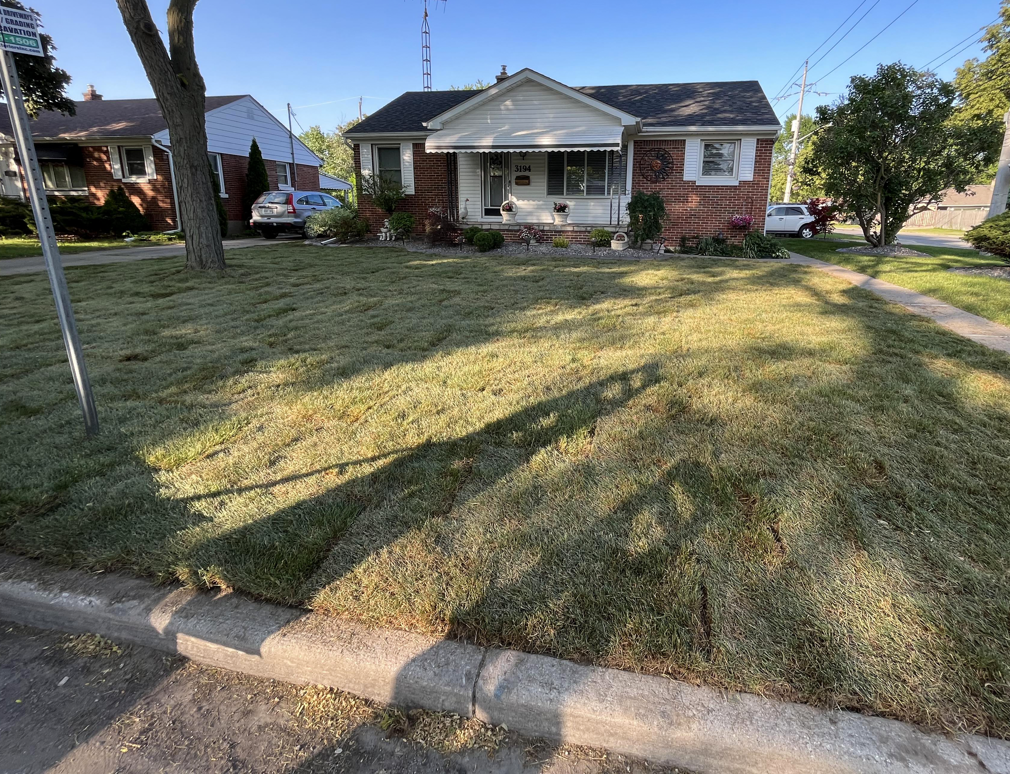 Fresh sod lawn installation in Windsor