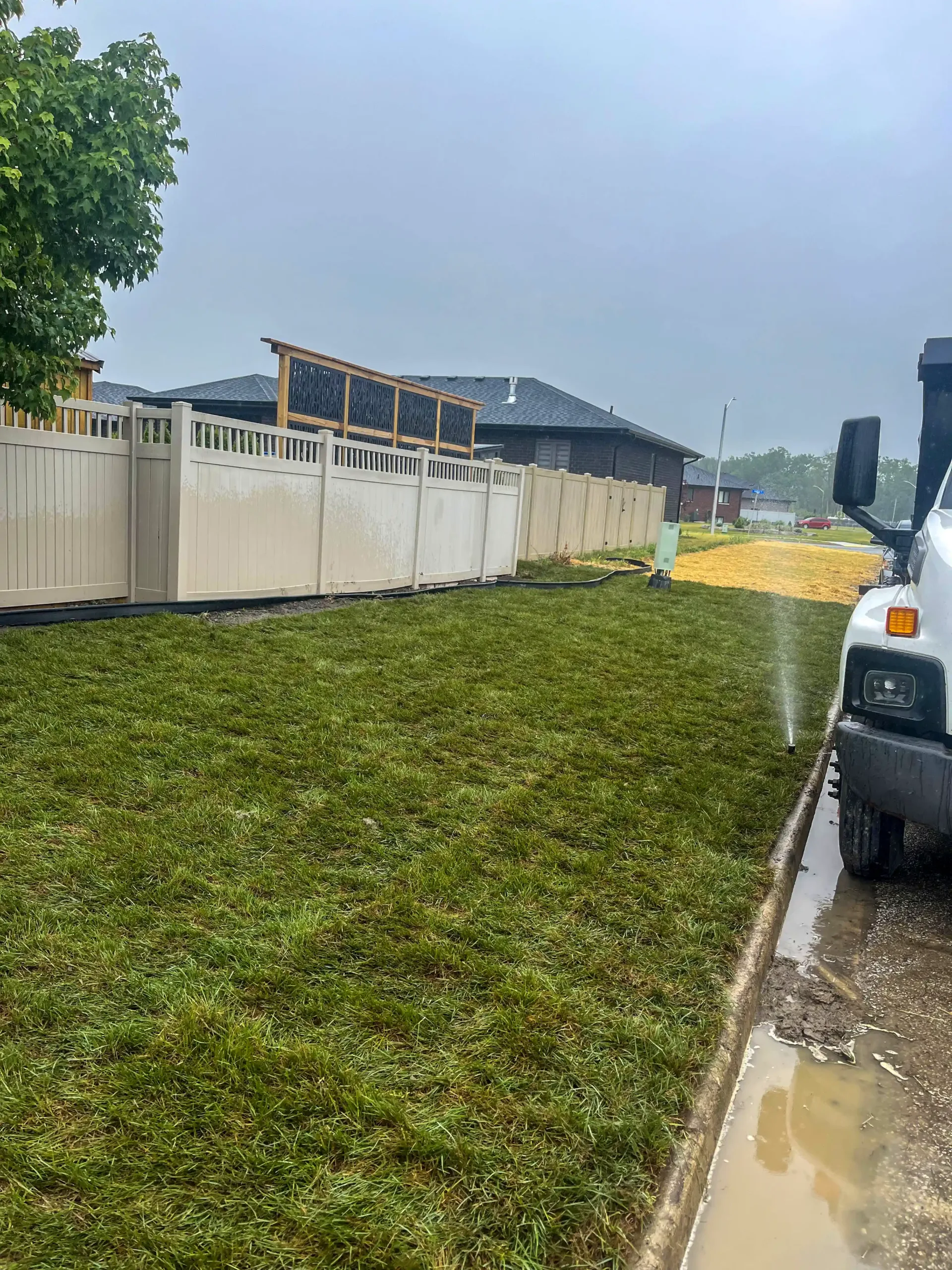 newly sodded lawn in windsor